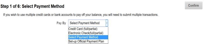 screenshot of step 1, select payment method
