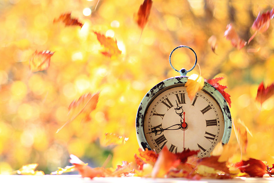 Clock on leaves in fall