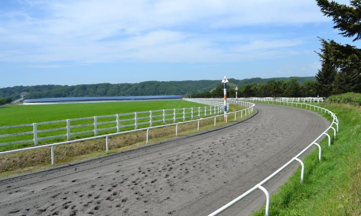 image of horse training track