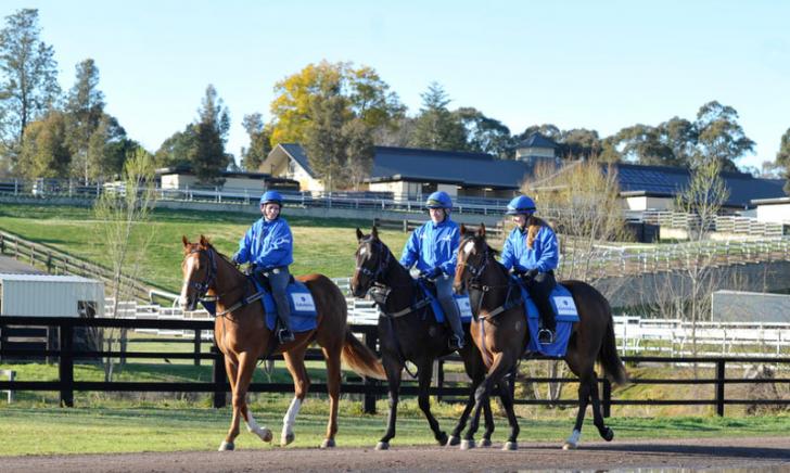 three trainers dressed in blue ride horses