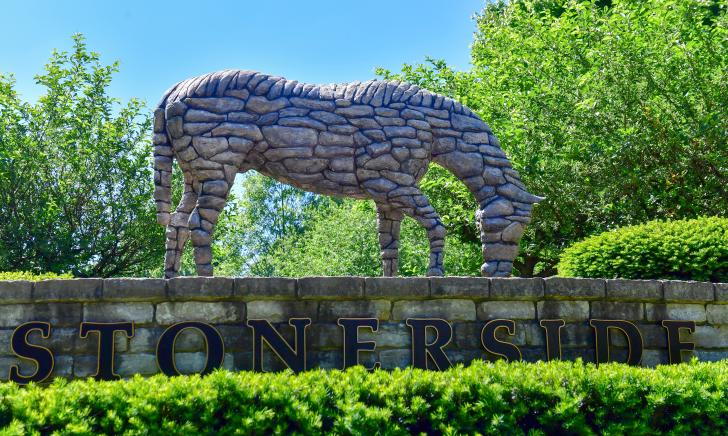 image of stone horse sculpture
