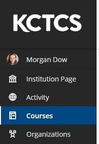 To find the orientation course, click the "Courses" menu item on the left