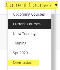 Next, click the drop-down box which usually says, "Current Courses" and click "Orientation"