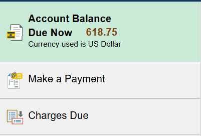 screenshot of the Make a Payment button