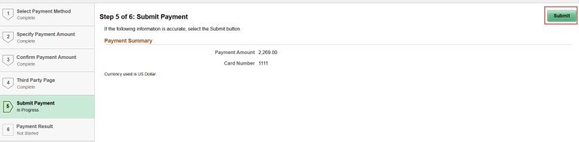 screenshot of step 5, Submit Payment