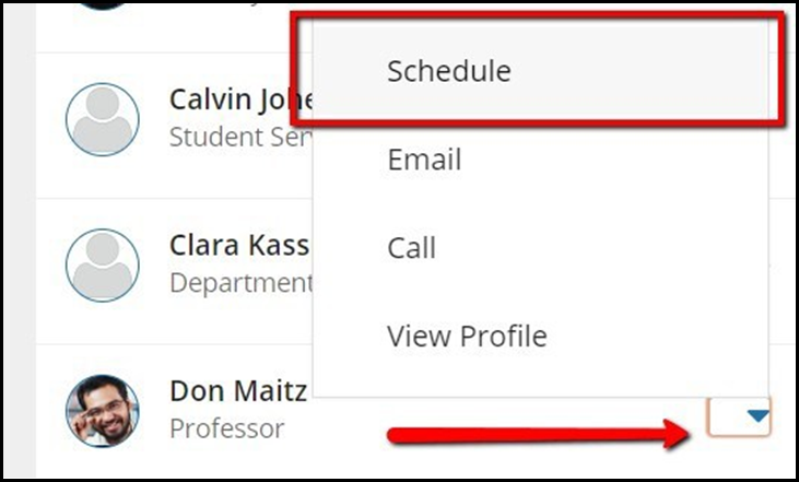 screenshot of the schedule option