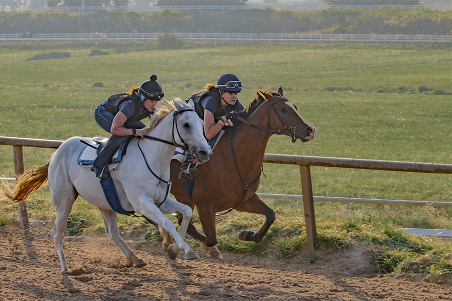 two jockeys racing horses