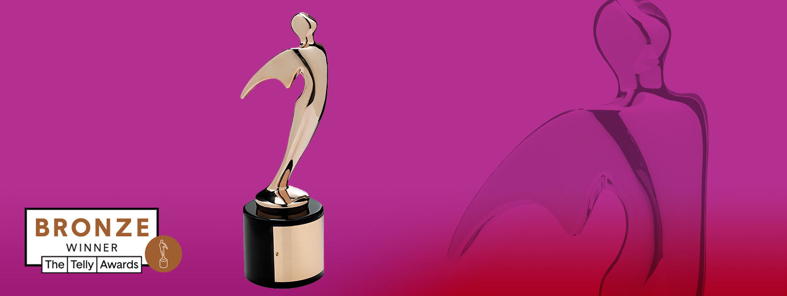 Telly Awards Bronze Winner