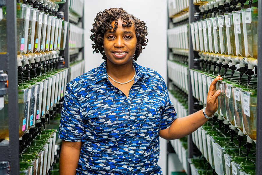 Cagney Coomer standing besides specimens on shelf