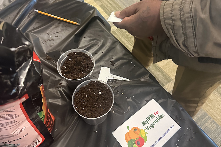 two plastic cups soil on table