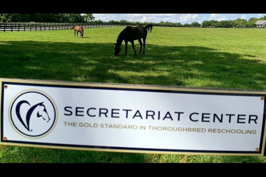 Horses in field with Secretariat Banner in foreground