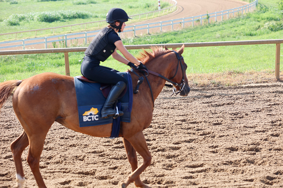 person riding horse with bctc saddle blanket