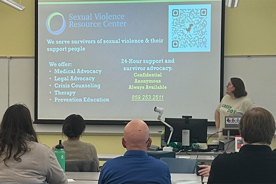 people looking at projected presentation