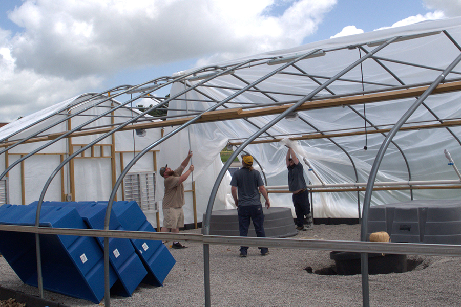 people drawing cover over greenhouse frame